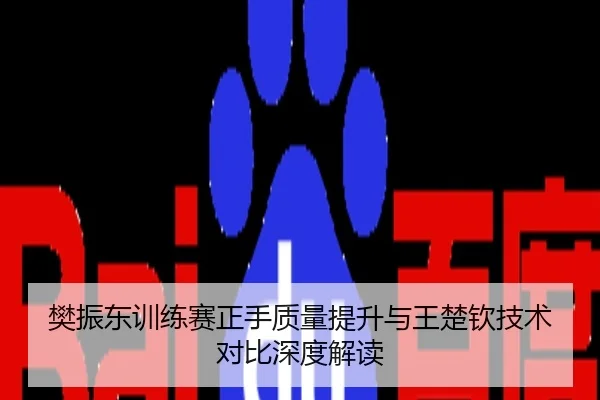 樊振东训练赛正手质量提升与王楚钦技术对比深度解读