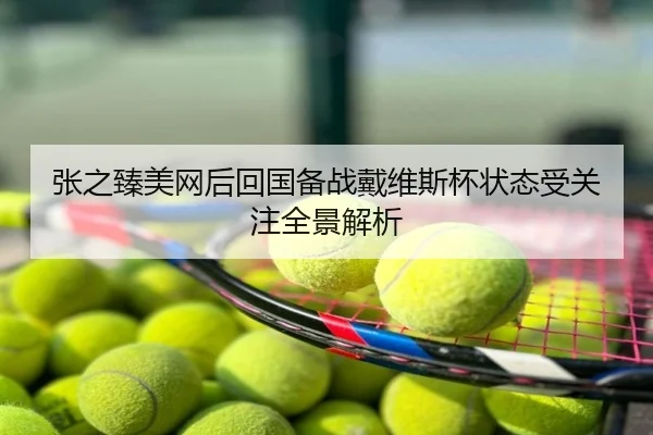 张之臻美网后回国备战戴维斯杯状态受关注全景解析